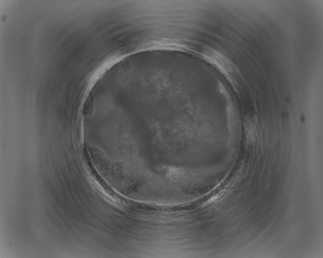 X0000067391371200604031022