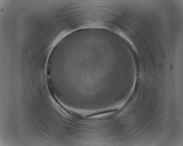 X0000067391372200604031022