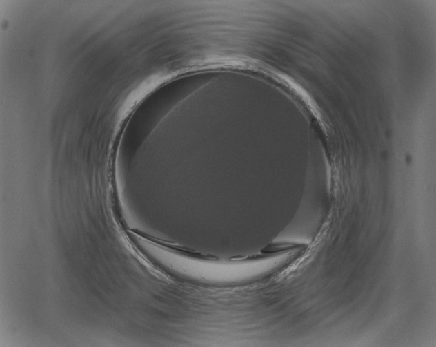 X0000067391373200604031022