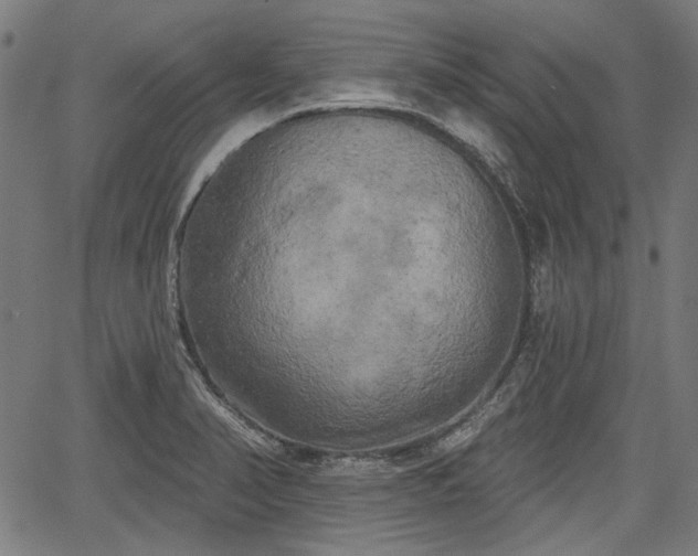 X0000067391374200604031022