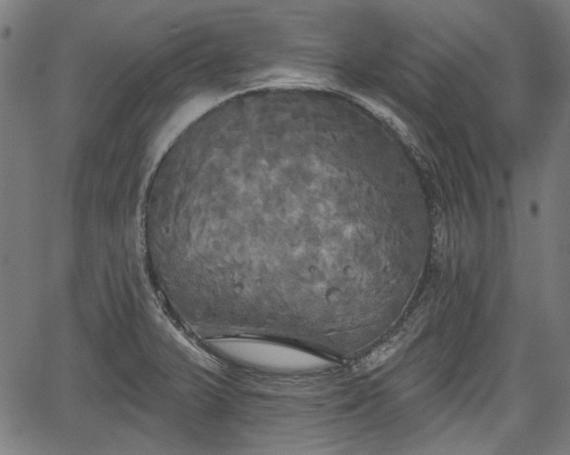 X0000067391375200604031022