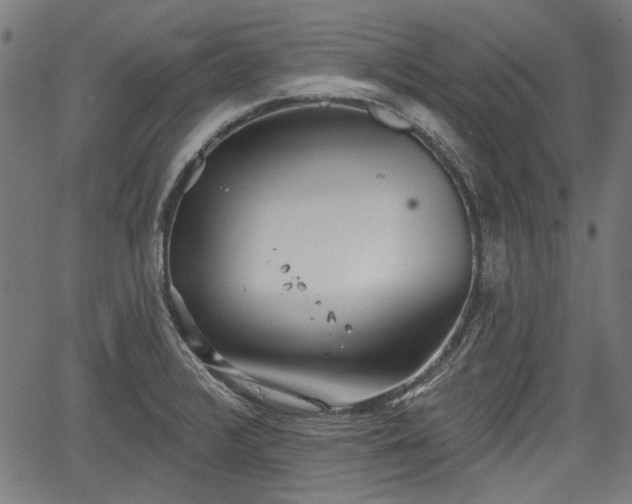 X0000067391376200604031022