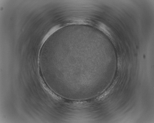 X0000067391378200604031022