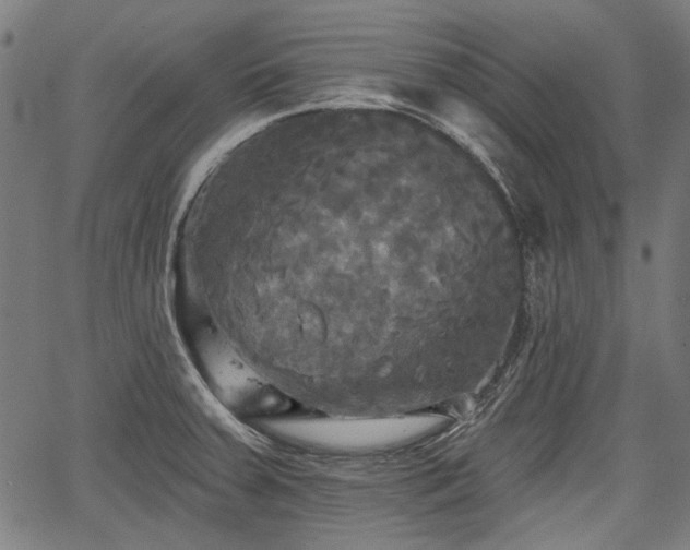 X0000067391379200604031022