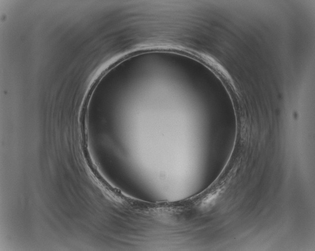 X0000067391380200604031022