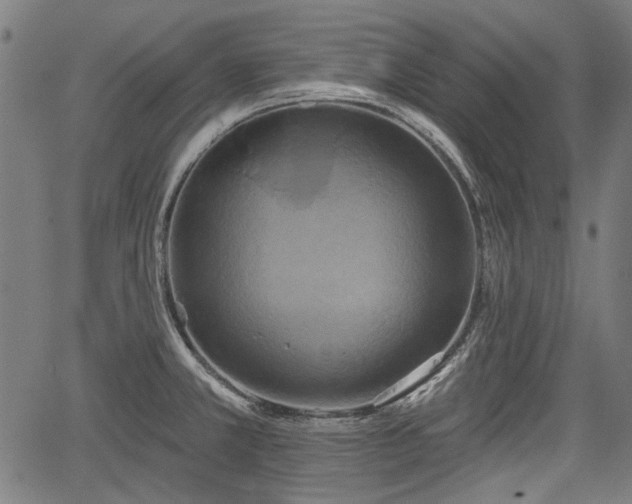 X0000067391381200604031022