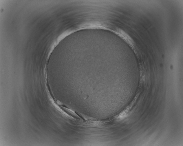 X0000067391382200604031022