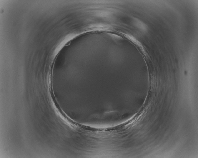 X0000067391383200604031022