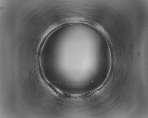 X0000067391384200604031022