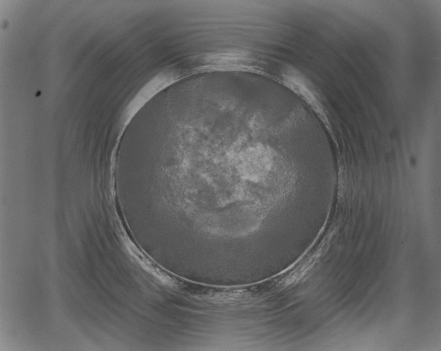 X0000067391386200604031022