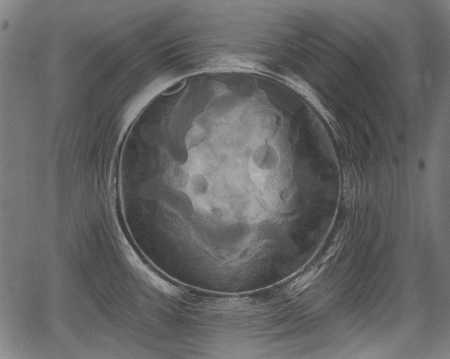 X0000067391387200604031022