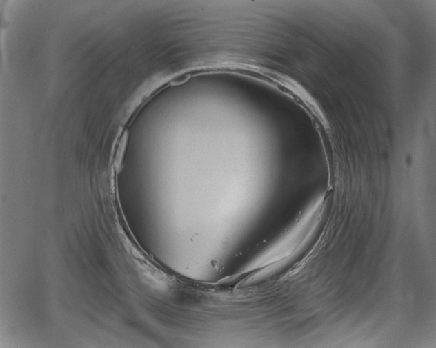 X0000067391388200604031021