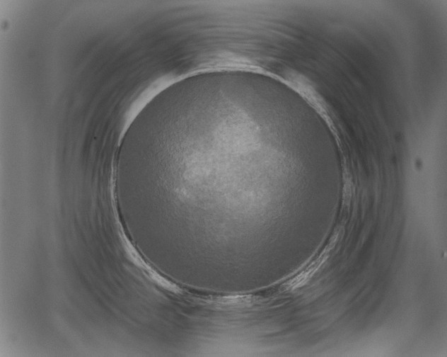 X0000067391390200604031021