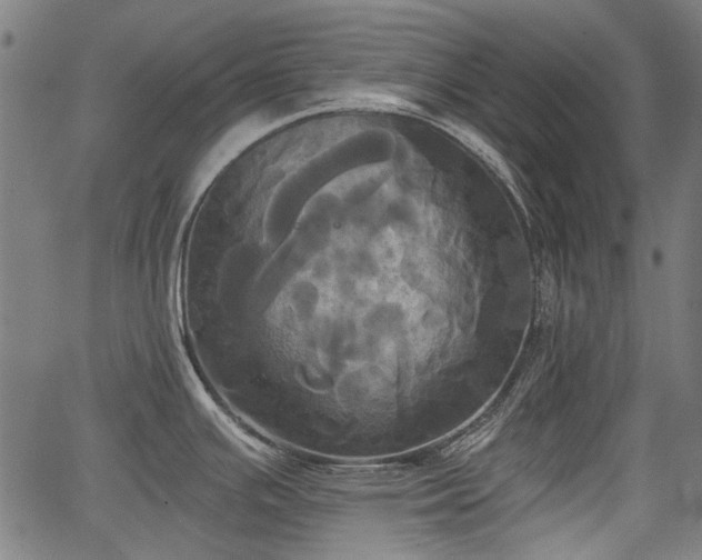 X0000067391391200604031021