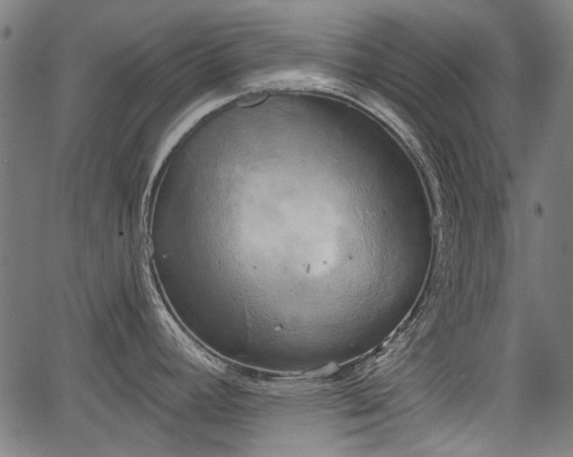 X0000067391392200604031021