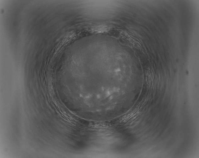 X0000067391393200604031021