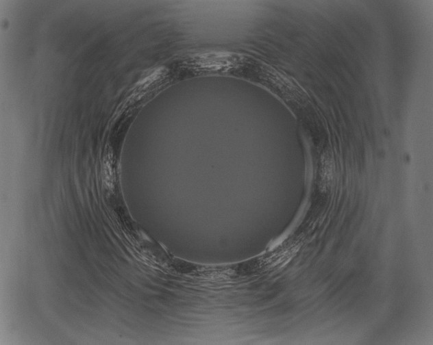 X0000067391394200604031021