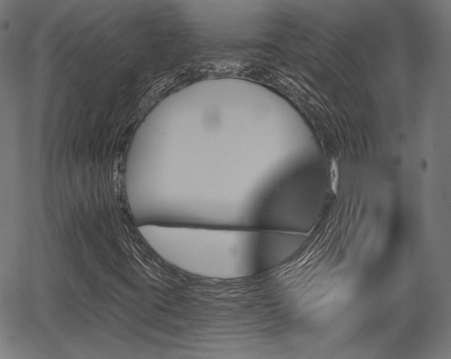 X0000067391395200604031021