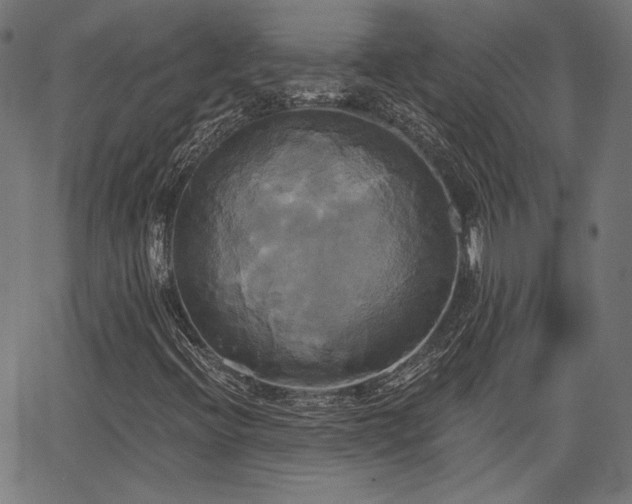 X0000067391396200604031021