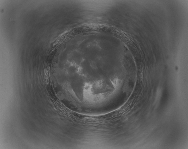 X0000067391397200604031021