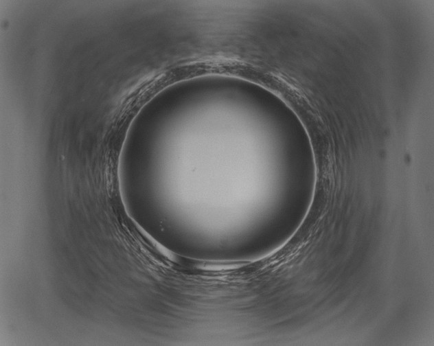 X0000067391398200604031021