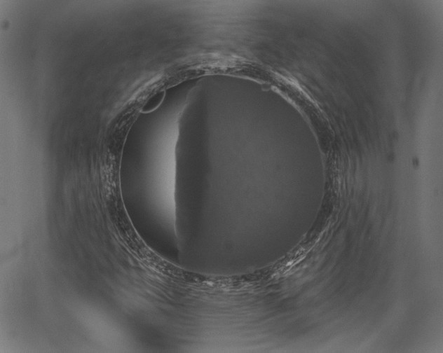 X0000067391399200604031021