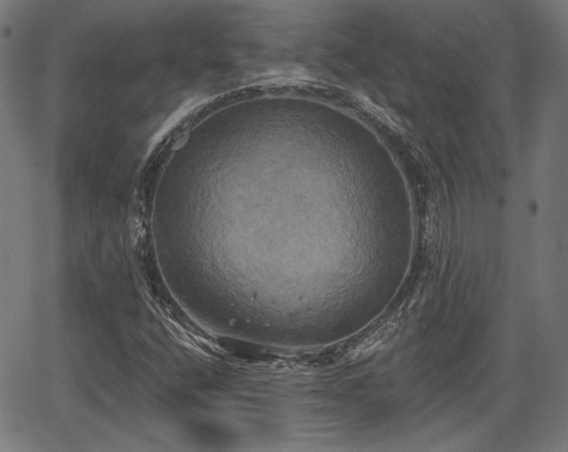 X0000067391400200604031021