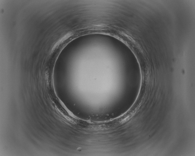 X0000067391402200604031021