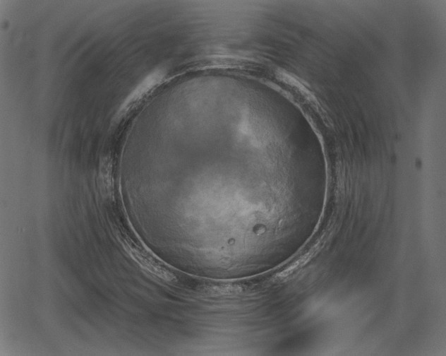 X0000067391403200604031021