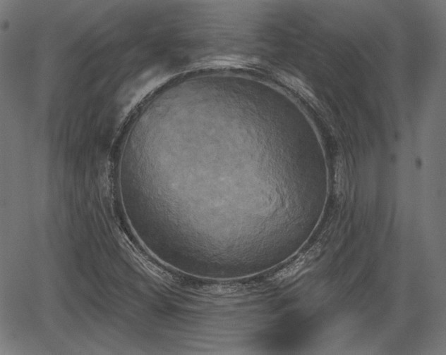 X0000067391404200604031021