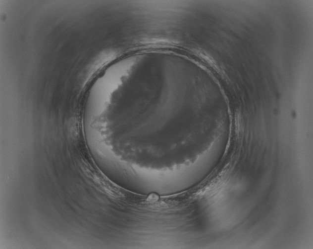 X0000067391405200604031021