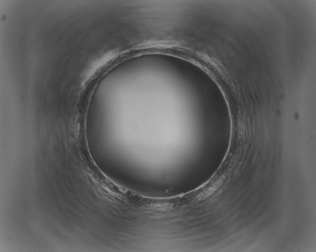 X0000067391406200604031021