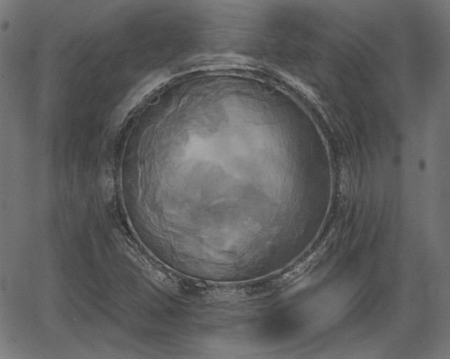 X0000067391407200604031021