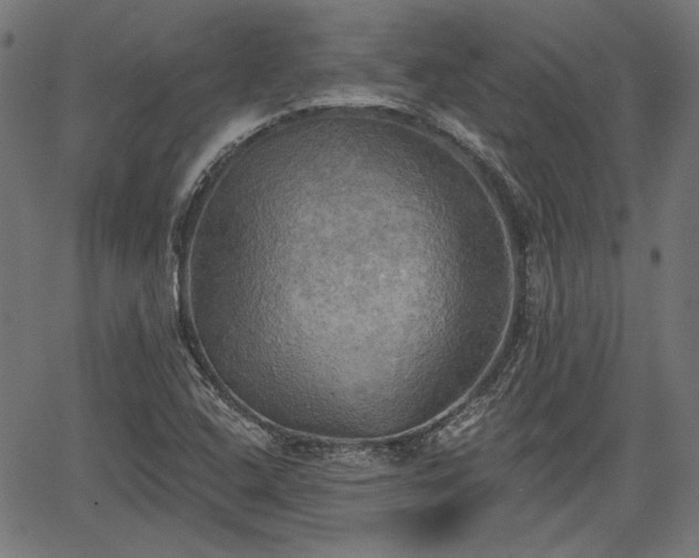 X0000067391408200604031021