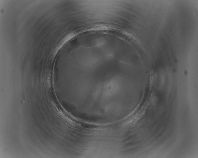 X0000067391409200604031021