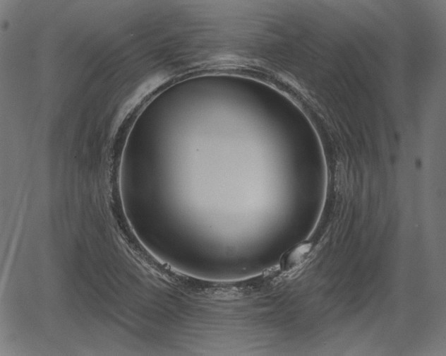 X0000067391410200604031021