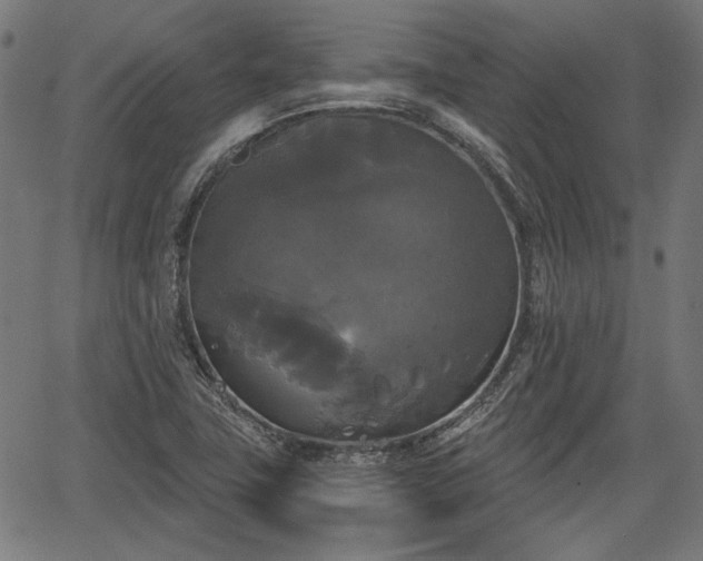 X0000067391411200604031021