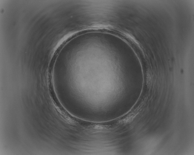 X0000067391412200604031021