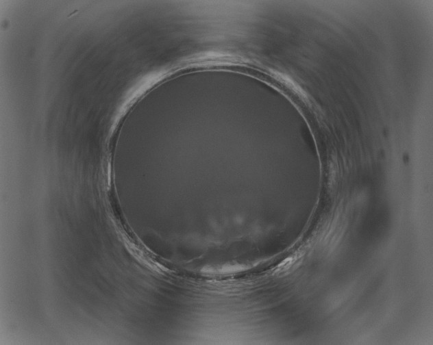 X0000067391413200604031021