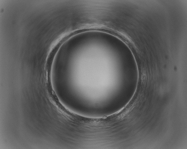 X0000067391414200604031021