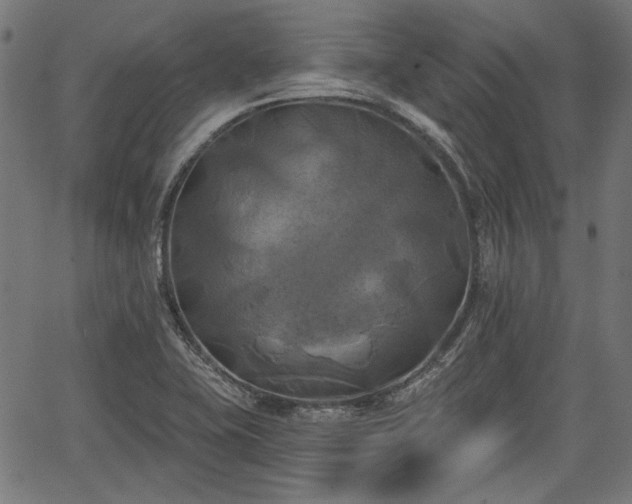 X0000067391415200604031021