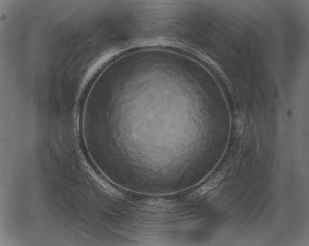 X0000067391416200604031021