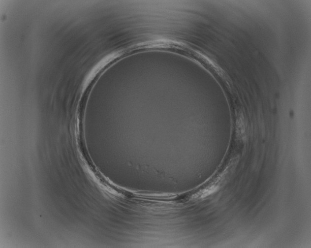 X0000067391418200604031021