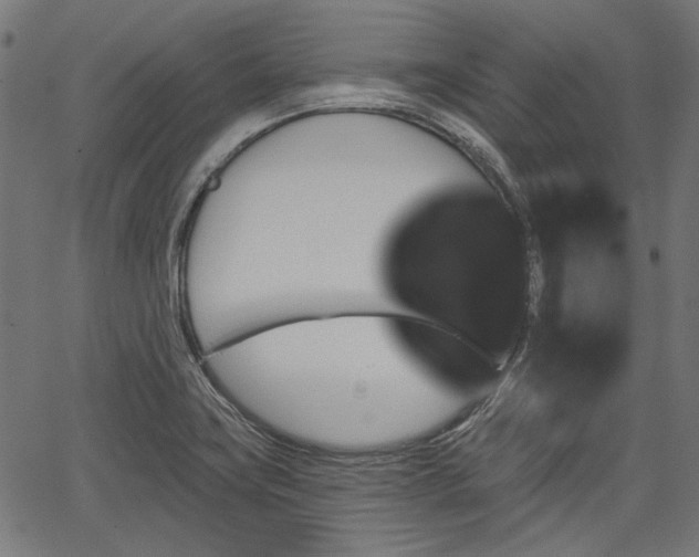 X0000067391419200604031021