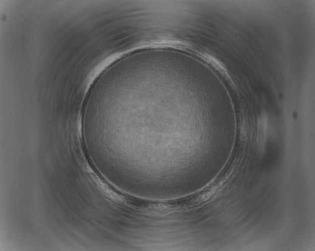 X0000067391420200604031021