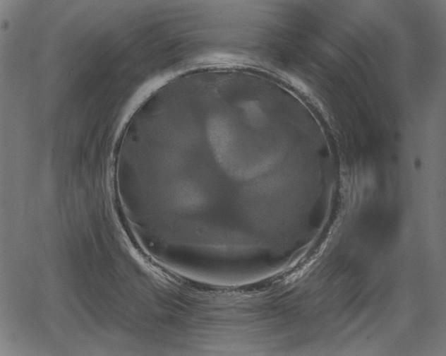 X0000067391421200604031021