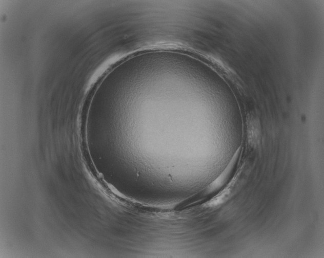 X0000067391422200604031021