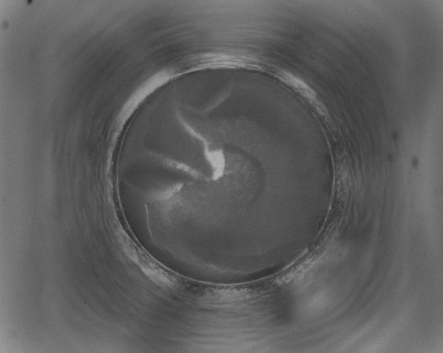 X0000067391427200604031021