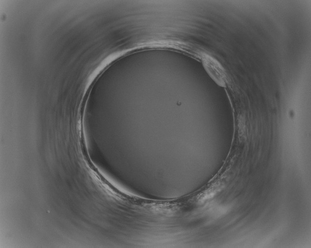 X0000067391428200604031021