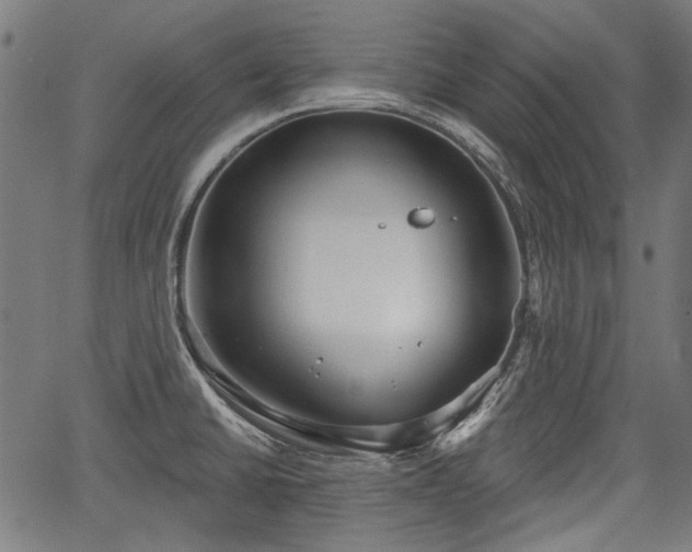 X0000067391430200604031021